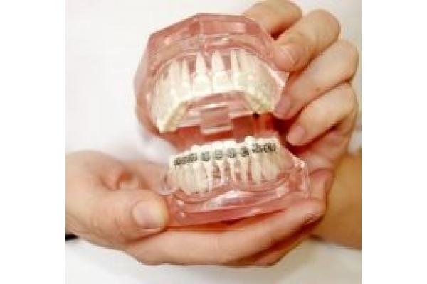 Dental Privilege - DSC_0415.JPG