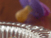article_46_Fumatulpasivoamenintarepentrusanatate.gif