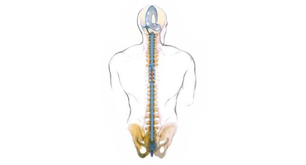 Dr. Gabriela Paula Florea - Terapie CranioSacrala si Eliberare SomatoEmotionala - metoda Upledger