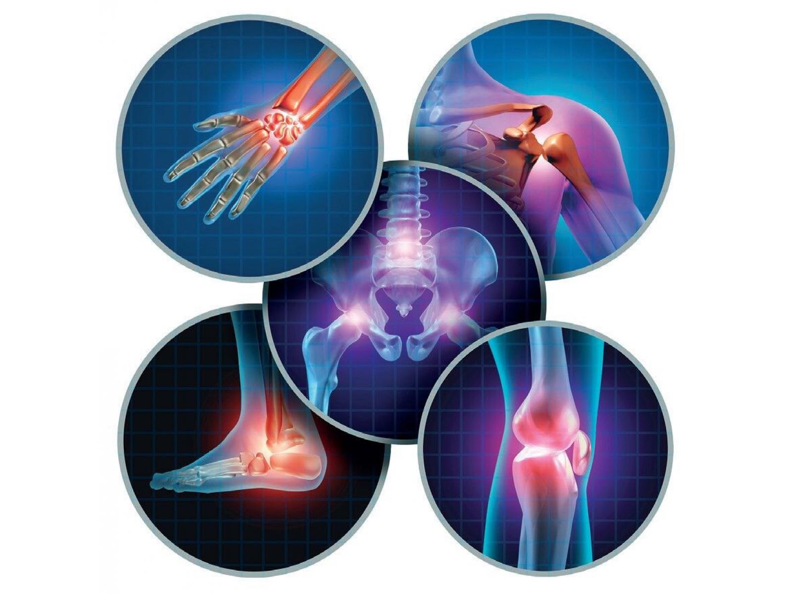 Osteodensys - Articulatii.jpg