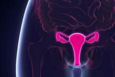 Ovarectomia (chirurgia indepartarii ovarelor)