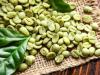 Cafeaua verde. topul beneficiilor pentru sanatate