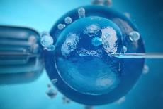 Recoltarea celulelor stem din cordonul ombilical: o decizie care nu suporta amanare 