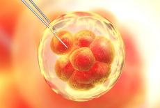 Recoltarea si stocarea celulelor stem ale copilului tau