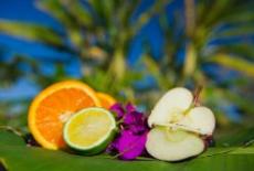 Alimente satioase