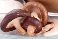 Supa crema de ciuperci